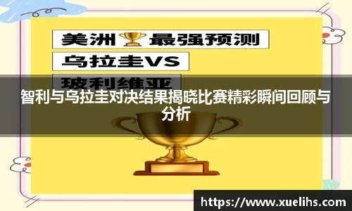 3377体育