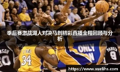 3377官网